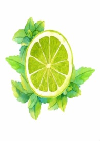 皎皎作品集 小说